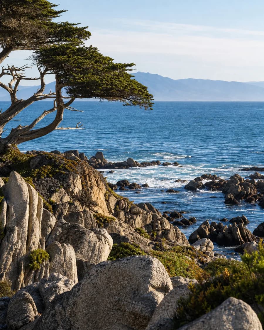 Rocky Pacific Grove shoreline with Monterey cypress and Monterey Bay beyond